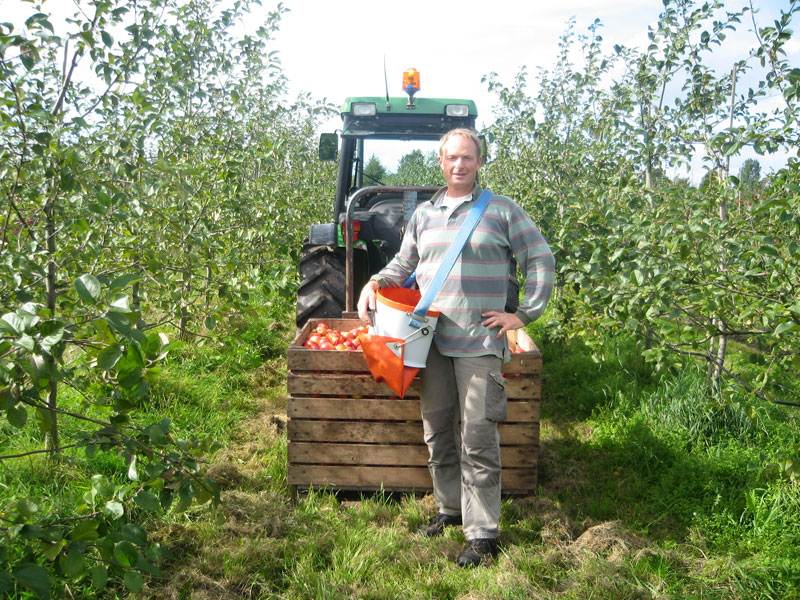 arbejde i plantagen