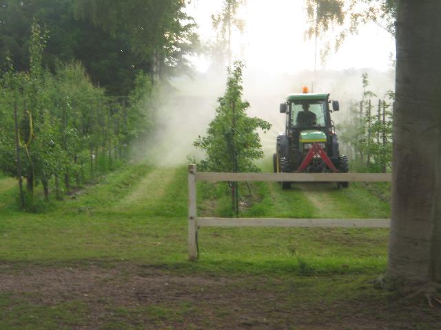arbejde i plantagen